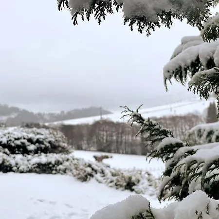 Haus Am Wald דירה *