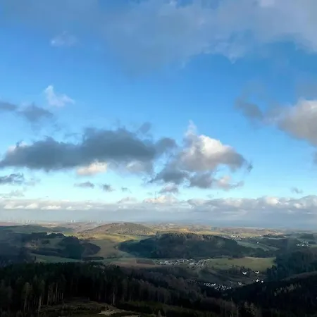 Апартаменти Haus Am Wald Віллінген