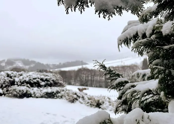 Haus Am Wald 아파트 *