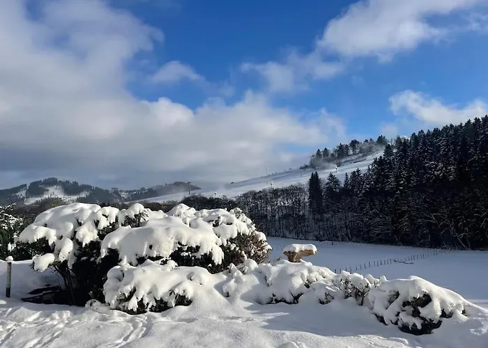 Haus Am Wald Appartamento